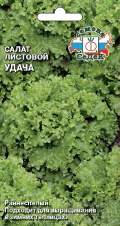 салат Удача (листовой) седек