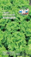 салат Холодок (листовой) седек