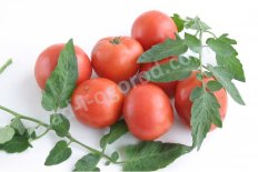 Томаты