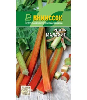 Ревень Малахит внииссок