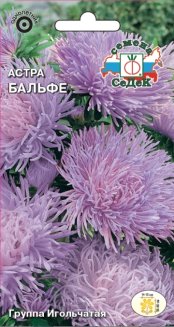 Астра Бальфе