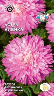 Астра Аленка