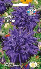 Астра Барни