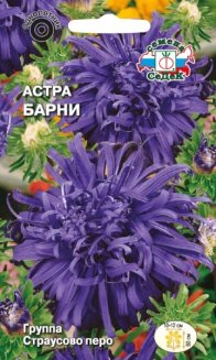 Астра Барни