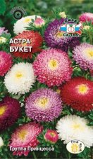Астра Букет