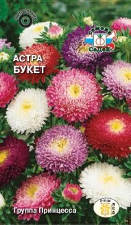 Астра Букет