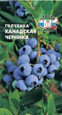 Голубика канадская Нектарная