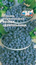 Черника обыкновенная Лесная целительница