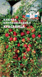 Клюква Красавица