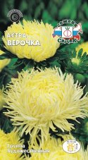 Астра Верочка