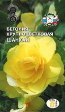 Бегония клубневая Шанхай