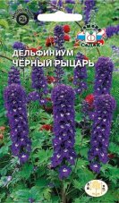 Дельфиниум Чёрный Рыцарь
