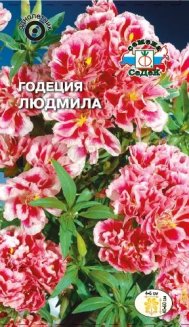 Годеция Людмила