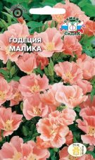 Годеция Малика