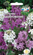 Гесперис Вдохновение (смесь) седек