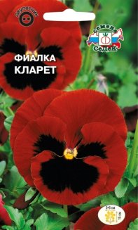 Виола Виттрока Кларет Швейцарский гигант седек