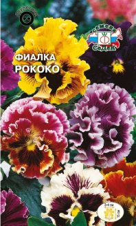 Фиалка Рококо седек