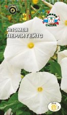 Ипомея Pearly Gates