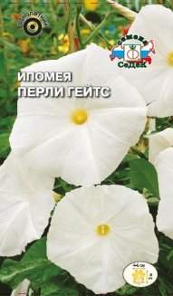 Ипомея Pearly Gates