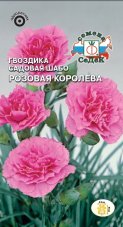 Гвоздика садовая Шабо Розовая королева