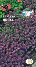 Алиссум Ночка морской