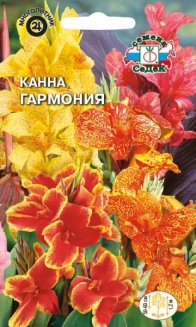 Канна Гармония