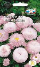 Маргаритка Пани Ванда