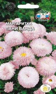 Маргаритка Пани Ванда