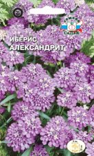 Иберис Александрит гибралтарский
