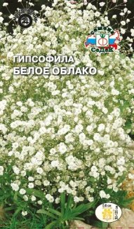 Гипсофила Белое облако