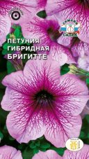 Петуния Бригитте F1 компактная