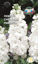 Левкой маттиола Снежная Лавина