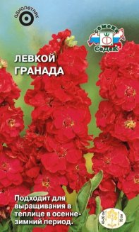 Левкой маттиола Гранада седек