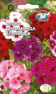 Флокс Друммонда Вернисаж (смесь)