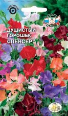 Душистый горошек Спенсер (смесь) седек