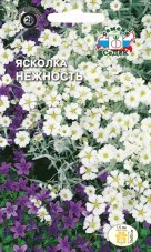 Ясколка Нежность