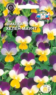 Фиалка Хелен Маунт рогатая