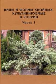 Виды и формы хвойных, культивируемые в России. Часть 1