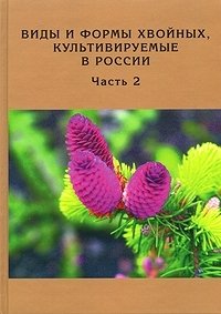 Виды и формы хвойных, культивируемые в России. Часть 2