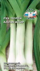 Лук порей Аллигатор