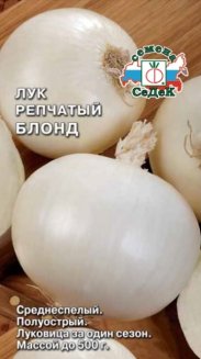 Лук репчатый Блонд
