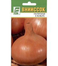 Лук репчатый Глобус