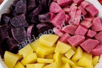 Комплект диетических сортов Чудеса селекции