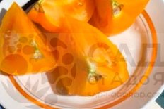 Рассада томатов Хурма Khurma