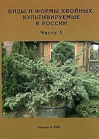 Виды и формы хвойных, культивируемые в России. Часть 3