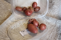 Мини-клубни картофель Изюминка