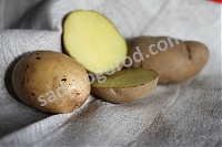 ОпубликованТовар или услугаСорт Волат картофель семенной